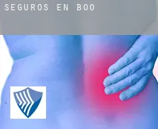 Seguros en  Boo