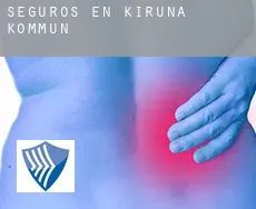 Seguros en  Kiruna Kommun