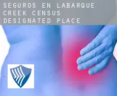 Seguros en  LaBarque Creek