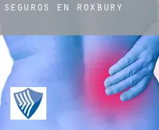 Seguros en Roxbury