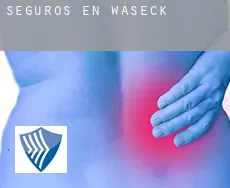 Seguros en  Waseck
