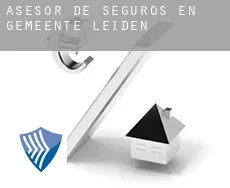 Asesor de seguros en  Gemeente Leiden