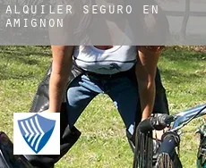 Alquiler seguro en  Amignon