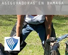 Aseguradoras en  Bamaga