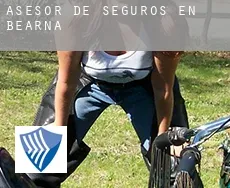 Asesor de seguros en  Bearna