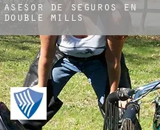 Asesor de seguros en Double Mills