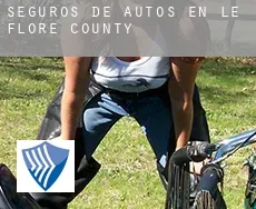 Seguros de autos en  Le Flore County
