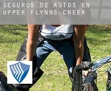 Seguros de autos en  Upper Flynns Creek