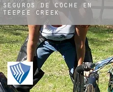 Seguros de coche en  Teepee Creek