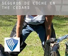 Seguros de coche en  The Cedars