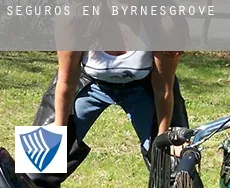 Seguros en  Byrnesgrove