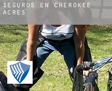 Seguros en  Cherokee Acres