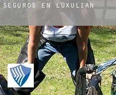 Seguros en  Luxulian