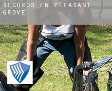 Seguros en  Pleasant Grove