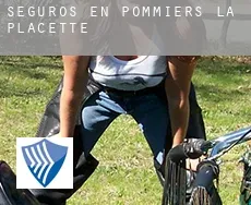 Seguros en Pommiers-la-Placette