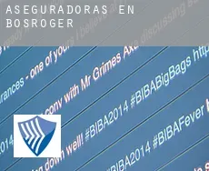 Aseguradoras en  Bosroger