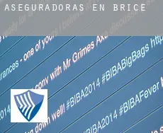 Aseguradoras en Brice