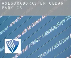 Aseguradoras en  Cedar Park (census area)