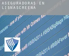 Aseguradoras en  Lisnascreena