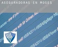 Aseguradoras en  Moses
