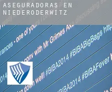 Aseguradoras en  Niederoderwitz