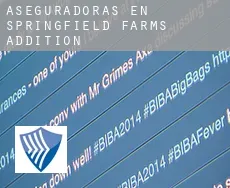 Aseguradoras en  Springfield Farms Addition