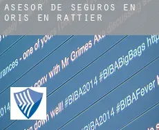 Asesor de seguros en  Oris-en-Rattier