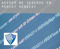 Asesor de seguros en  Powiat konecki