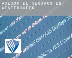 Asesor de seguros en  Westerhofen