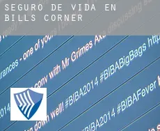 Seguro de vida en  Bills Corner