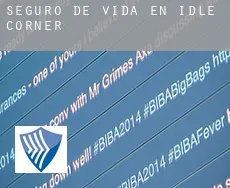 Seguro de vida en  Idle Corner