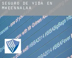 Seguro de vida en  Mweennalaa