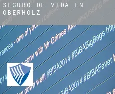 Seguro de vida en  Oberholz
