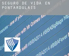 Seguro de vida en  Pontardulais