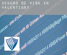 Seguro de vida en  Valentigny