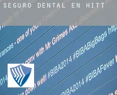Seguro dental en Hitt