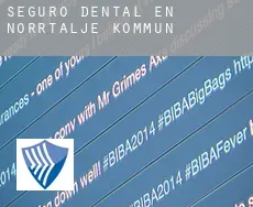 Seguro dental en Norrtälje Kommun