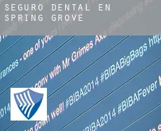 Seguro dental en  Spring Grove