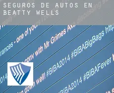 Seguros de autos en  Beatty Wells