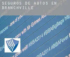 Seguros de autos en  Branchville