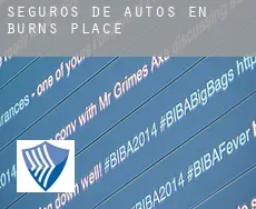 Seguros de autos en  Burns Place
