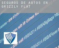 Seguros de autos en  Grizzly Flat