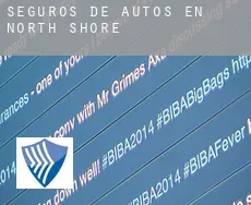Seguros de autos en  North Shore