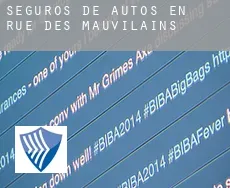 Seguros de autos en  Rue des Mauvilains