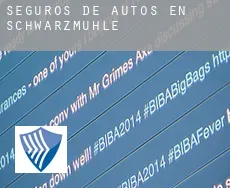 Seguros de autos en  Schwarzmühle