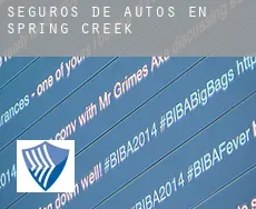 Seguros de autos en  Spring Creek