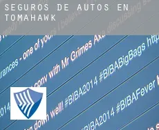 Seguros de autos en Tomahawk