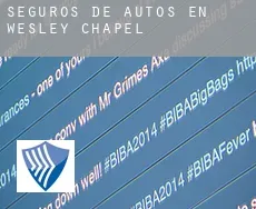 Seguros de autos en Wesley Chapel