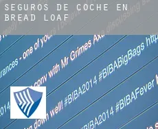 Seguros de coche en  Bread Loaf