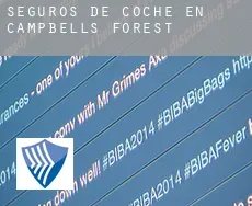 Seguros de coche en  Campbells Forest